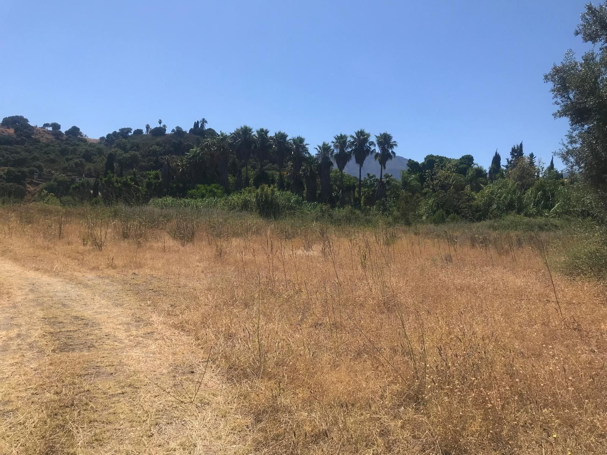 Land plot in Estepona №52043