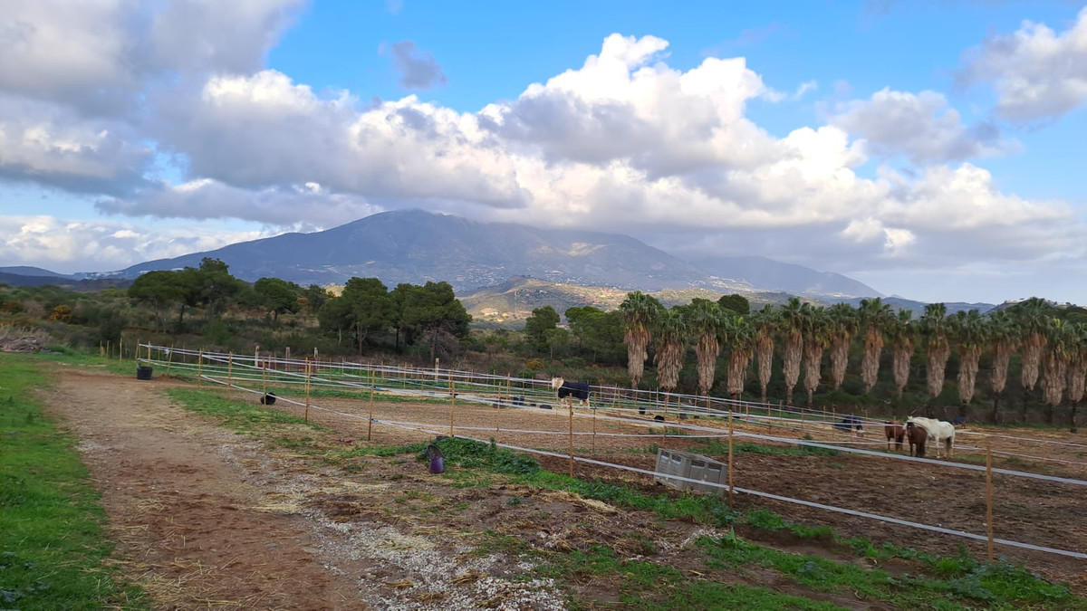 Commercial property in Mijas №52648