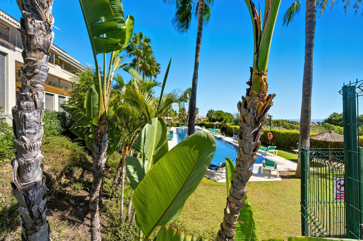 Apartments in Marbella №53219